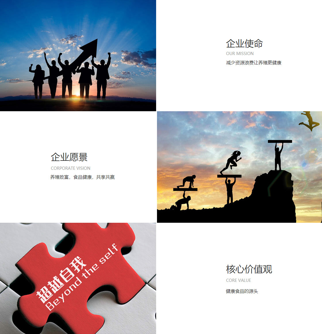 新葡萄8883官网最新版(图1)